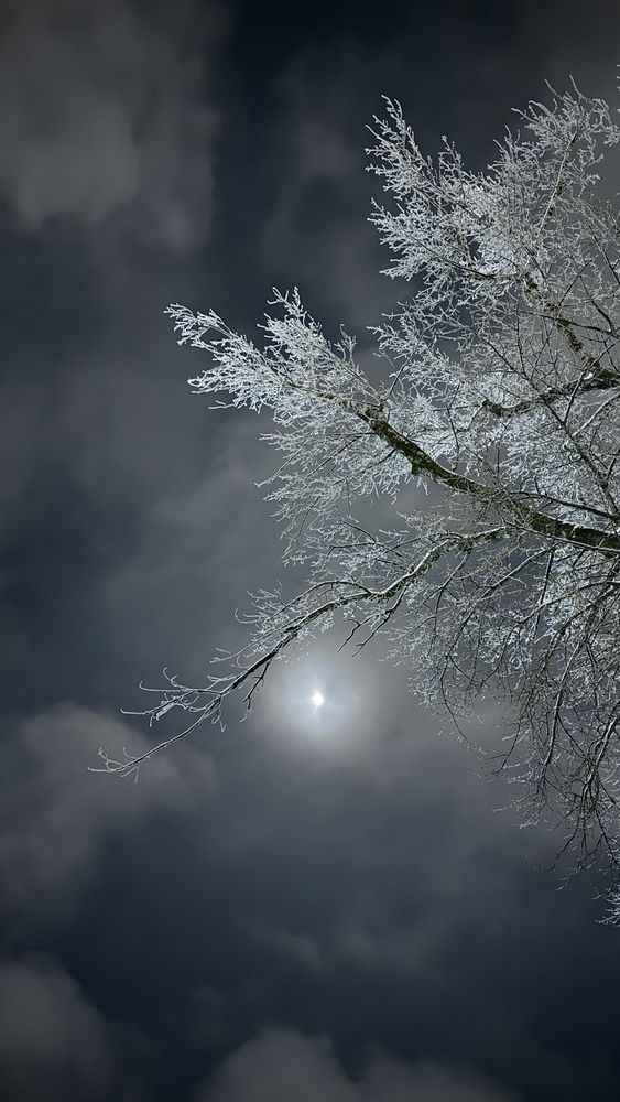 Photograph by Arma_gray