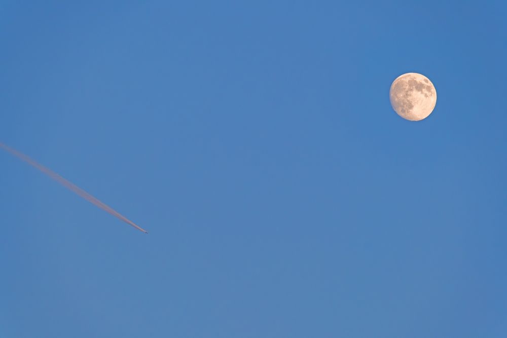 Photograph by Василиса Косолапова