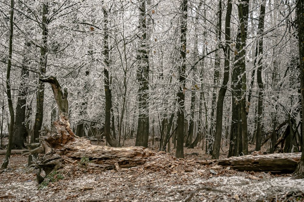 Photograph by Миша Автократов