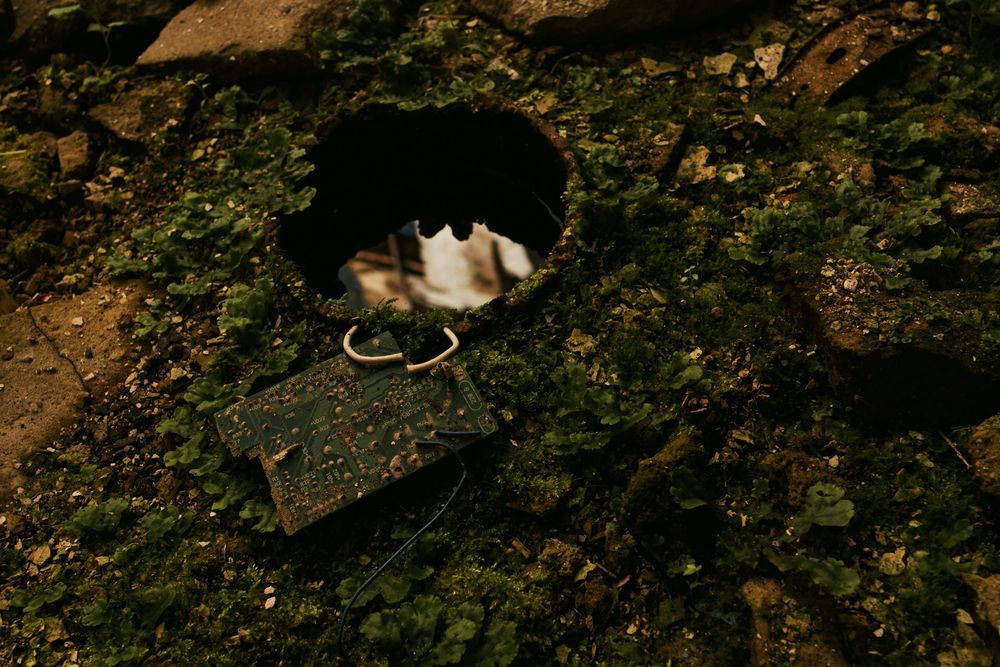 Photograph by Анна Масленникова-Бриль