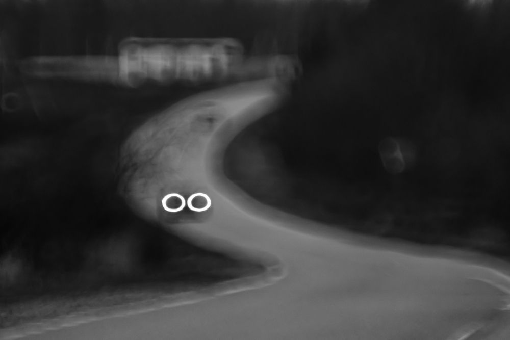 Photograph by Соварцева Ксения