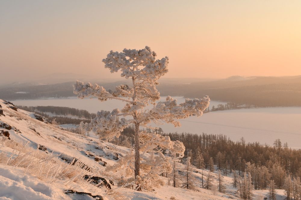 Photograph by Таипов Ильгиз