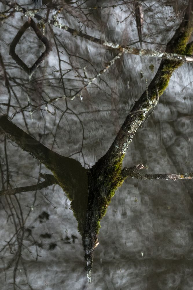 Photograph by Соварцева Ксения