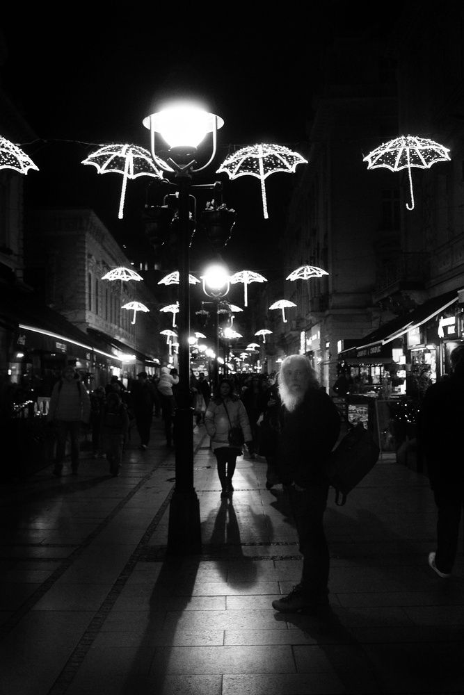 Фотография автора JELENA VASIC