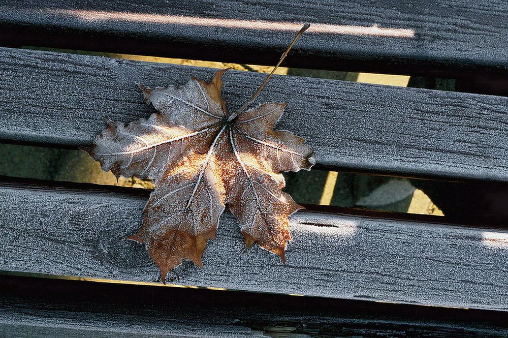 Фотография автора Е лена Е