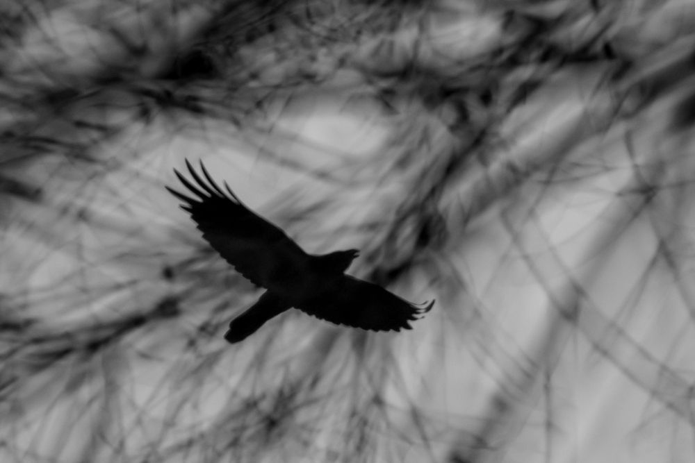 Photograph by Соварцева Ксения