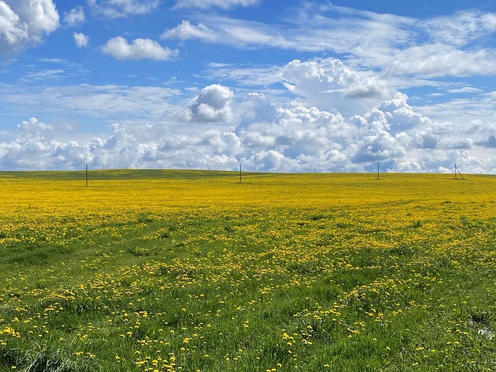 Фотография автора Виталий Иванов