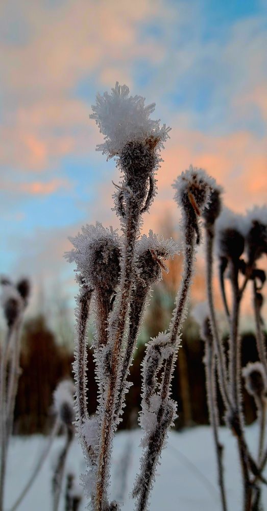 Photograph by Галина Перепечаева
