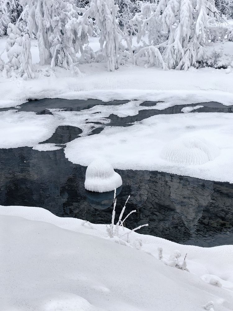 Photograph by OLGA MIKHNEVICH