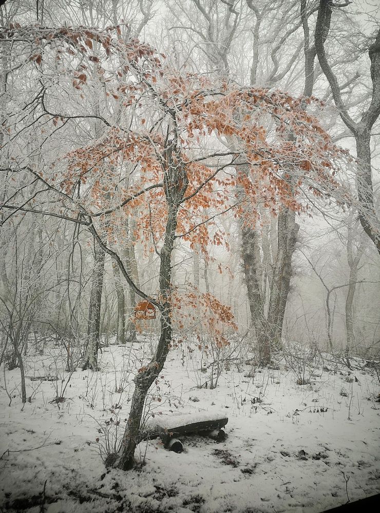 Photograph by Кривенко Владимир