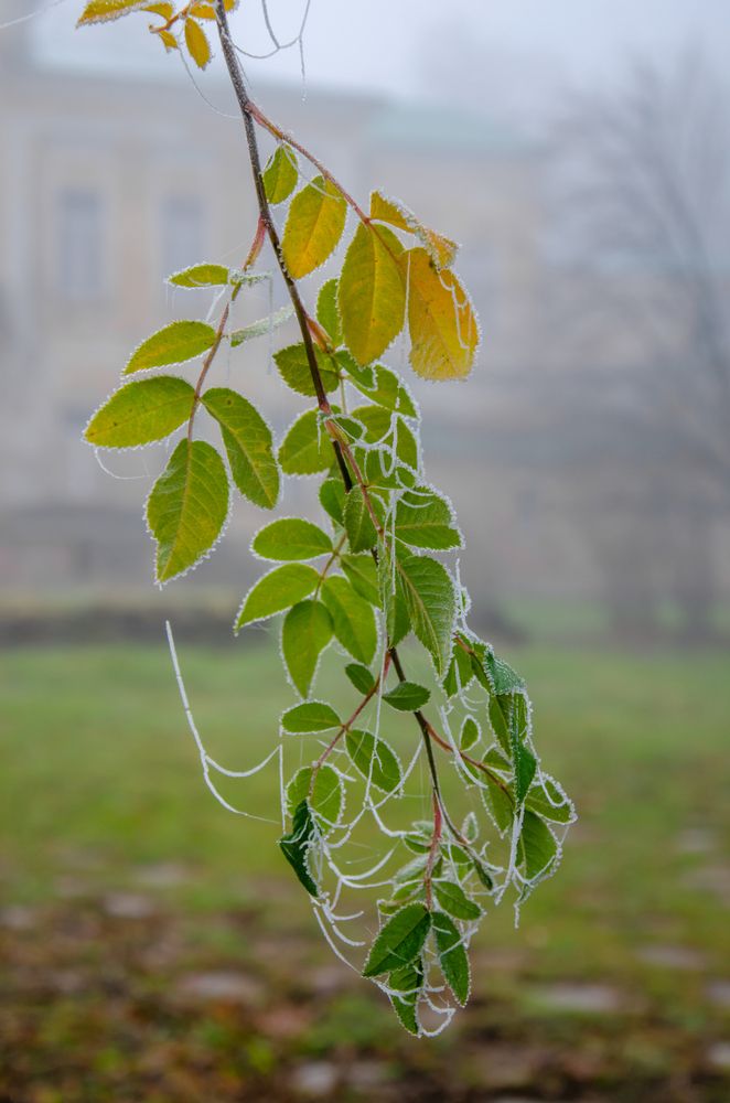 Photograph by Ольга Заповедная