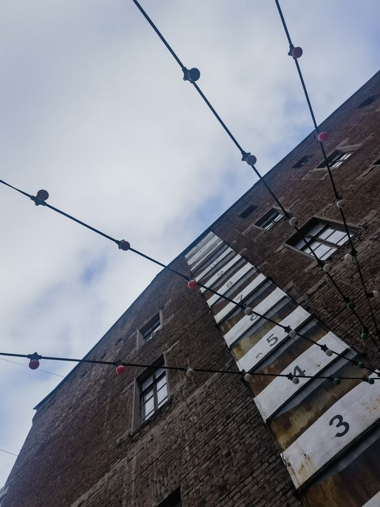 Photo #13034071