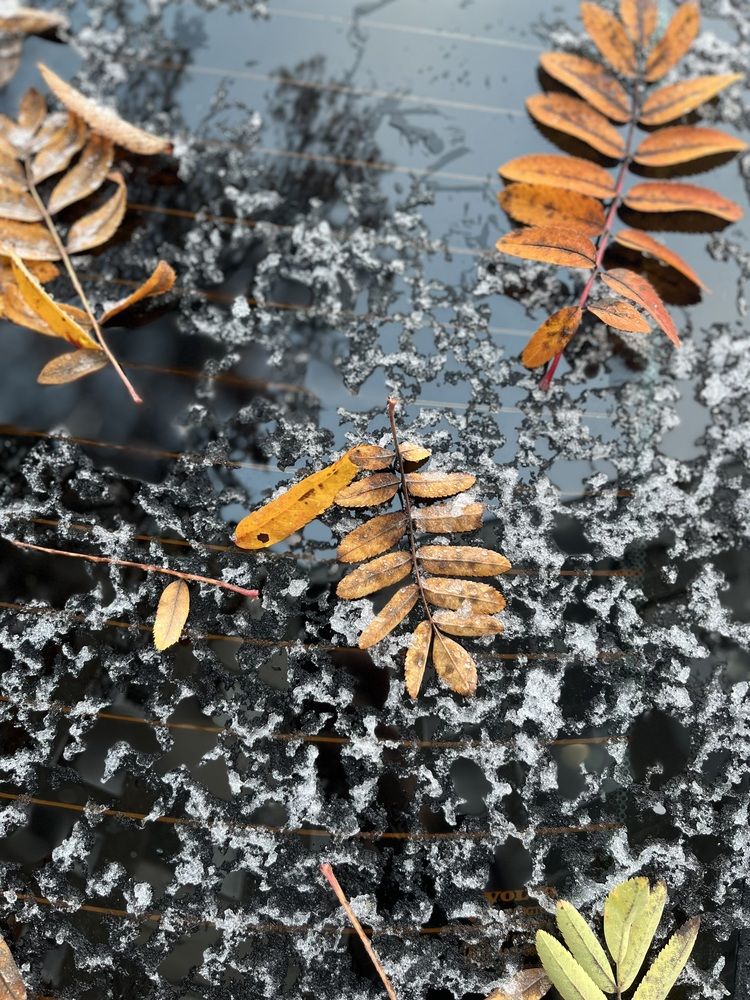 Photograph by Тень Таня