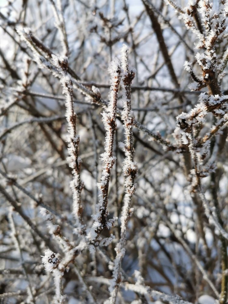 Photograph by Людмила Орловская