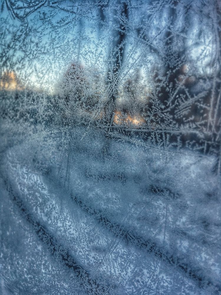 Фотография автора Ирина Курмалеева