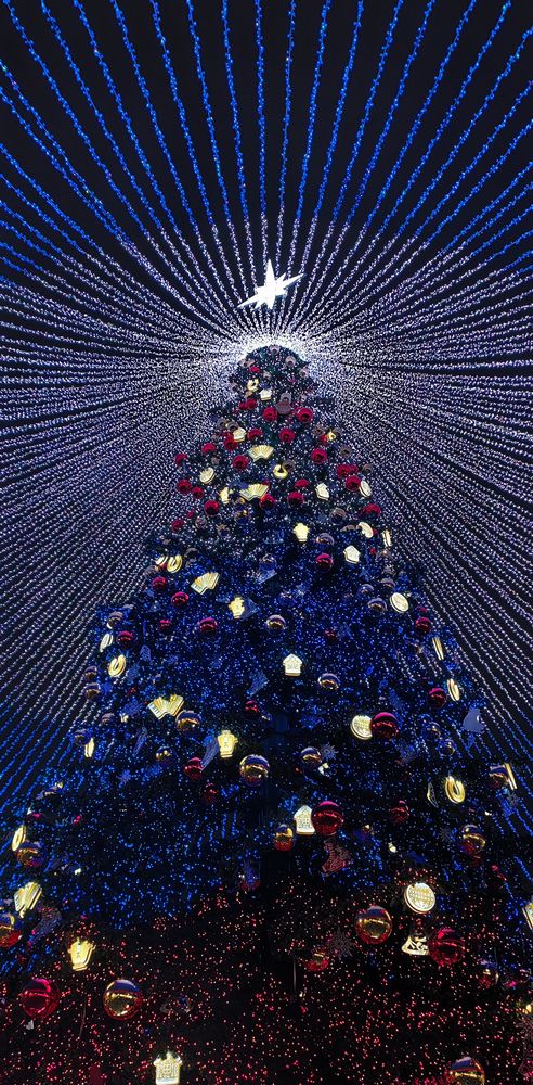 Photograph by Анастасия Семилетова