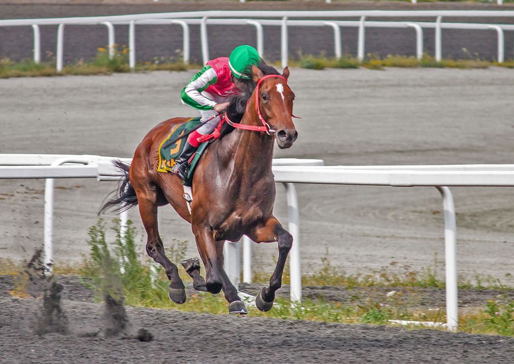 Photograph by Елена