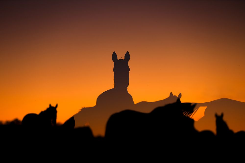 Photograph by Татьяна Немова