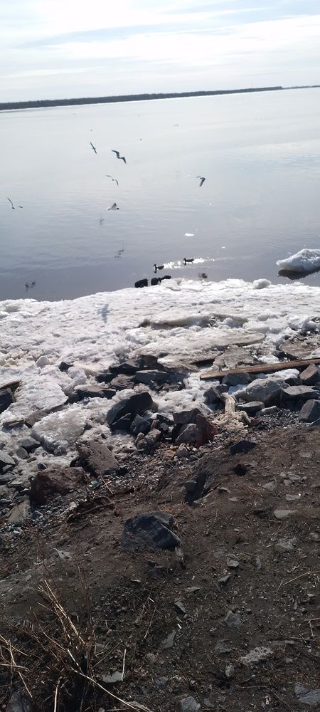 Photo #13034146