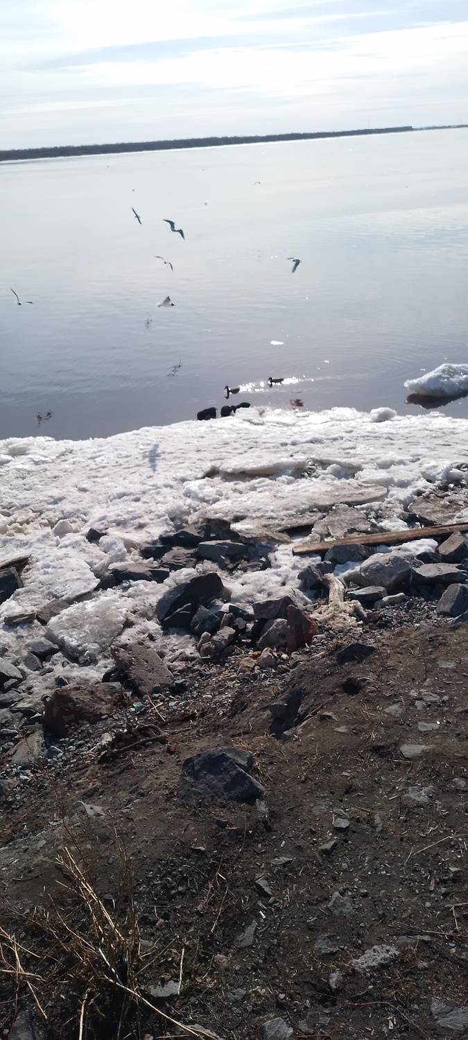 Photo #13034146