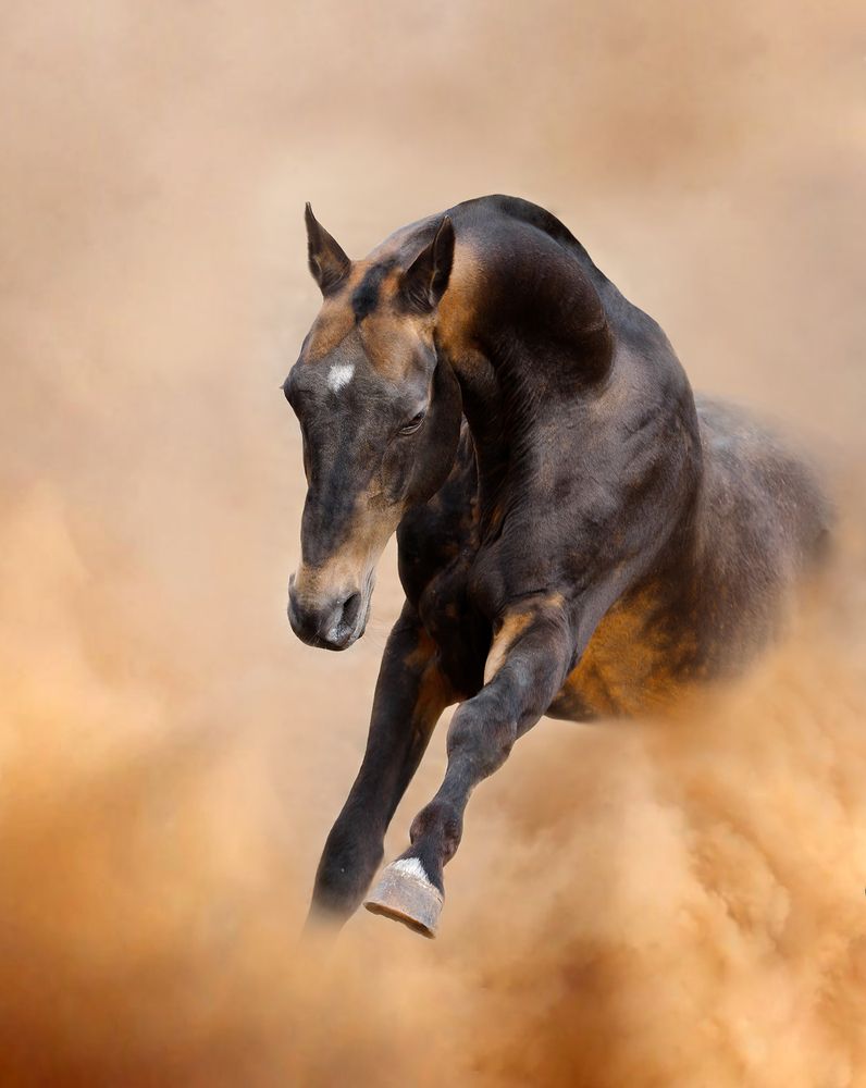 Photograph by Татьяна Немова