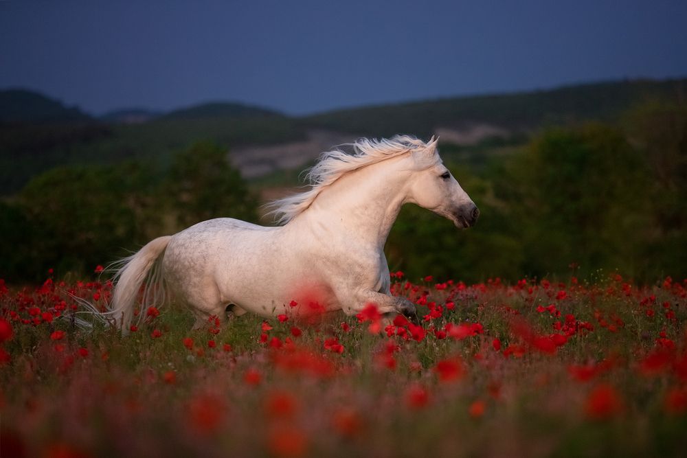 Photograph by Татьяна Немова