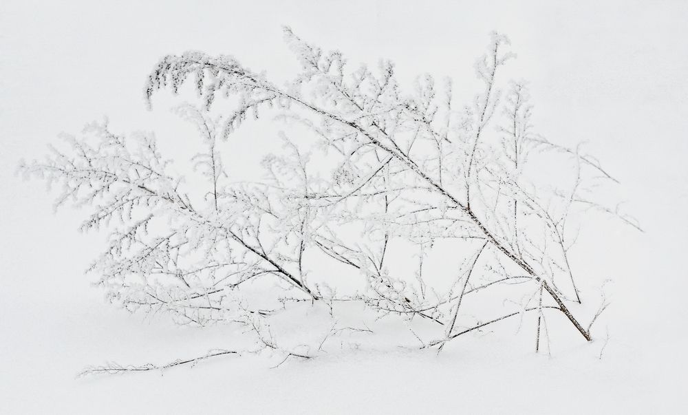 Фотография автора Е лена Е