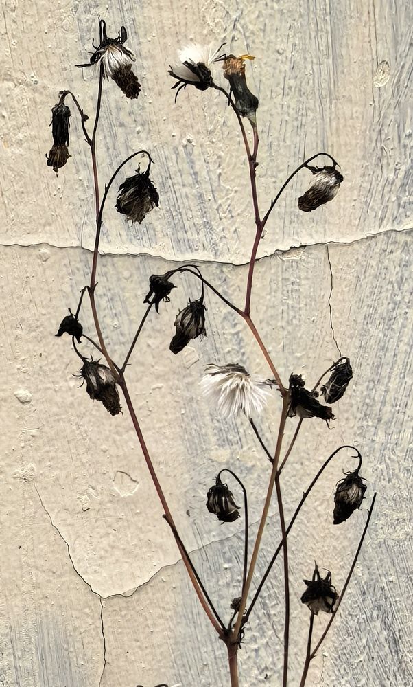 Photograph by Елена Охапкина