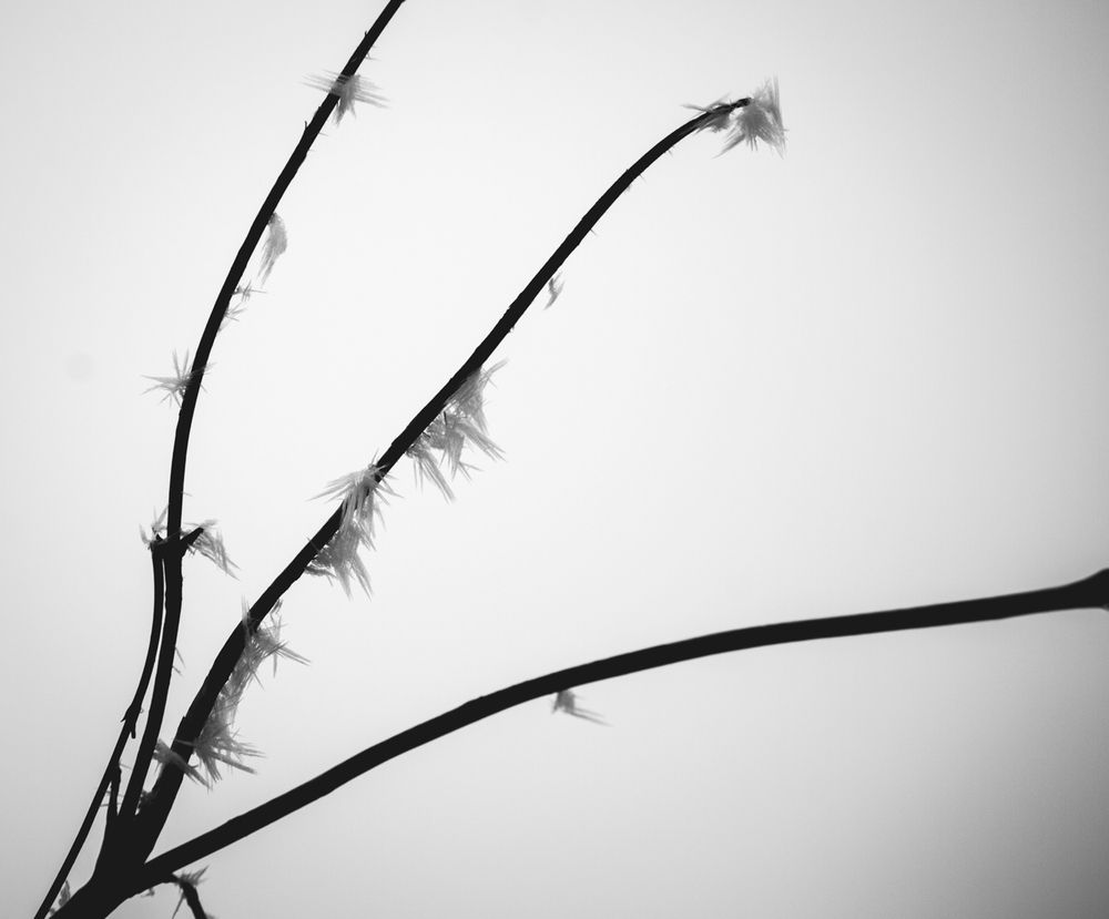 Photograph by Tigran Simonyan