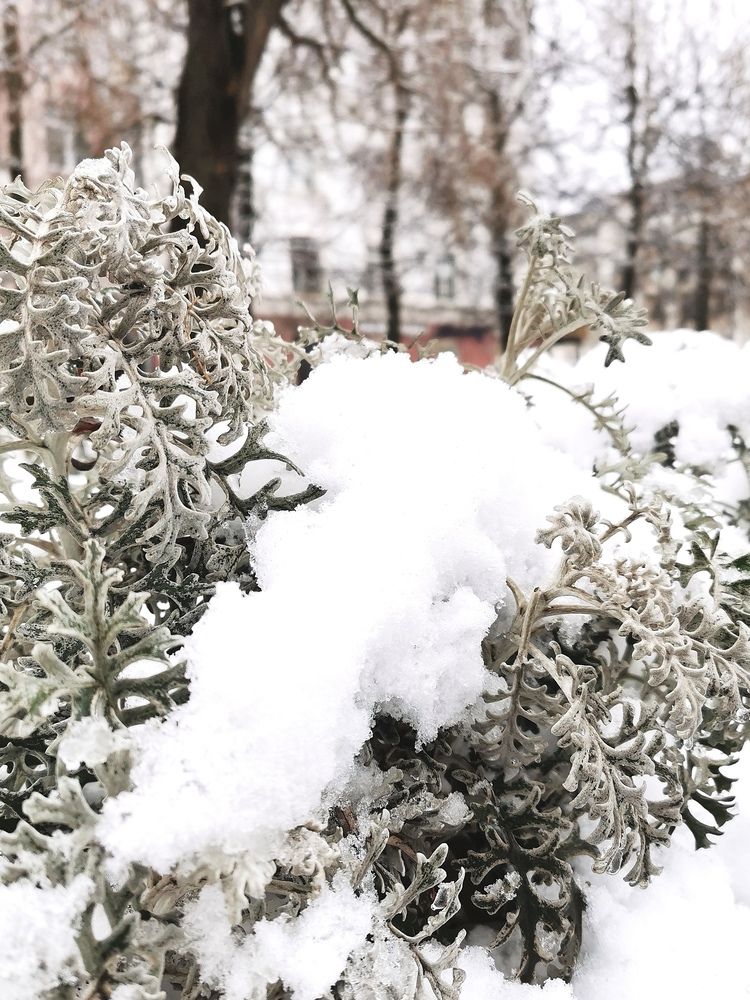 Photograph by Людмила Орловская