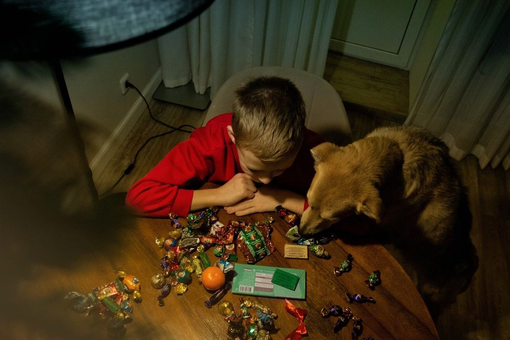 Photograph by Виктория Суркова