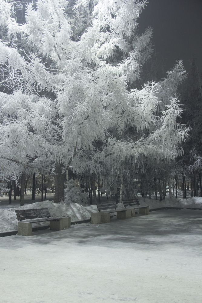 Photograph by Mark Kolbin