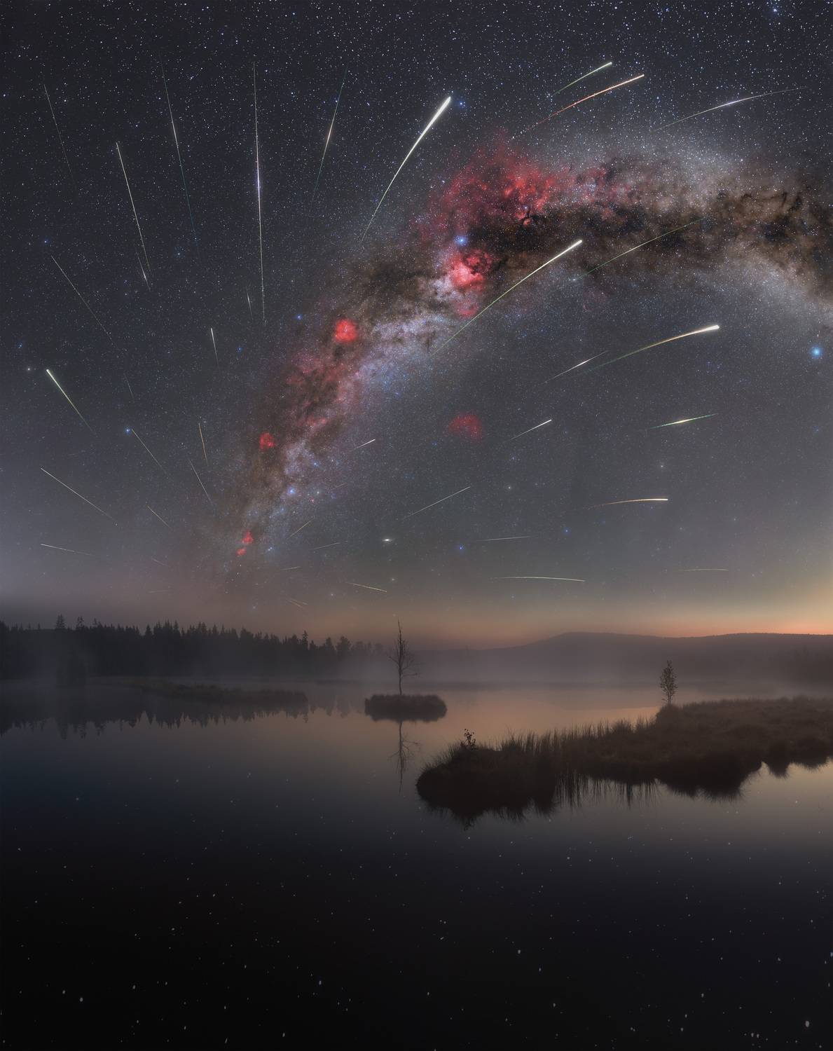 Фотография #13034255