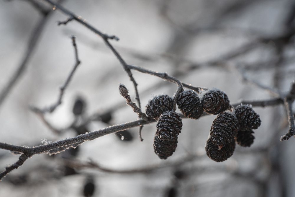 Фотография автора Войнов Дмитрий