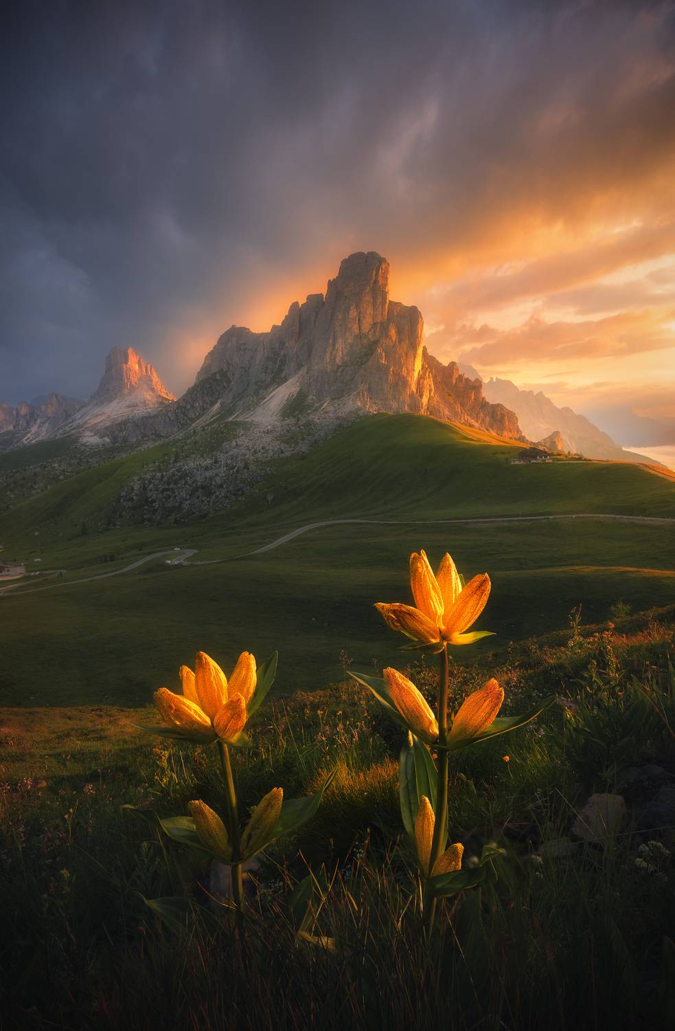 Фотография #13034300