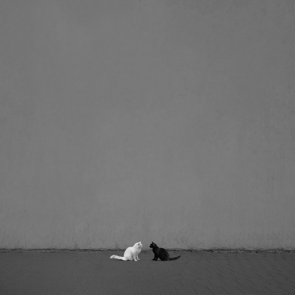 Photograph by Shahram Hafezi