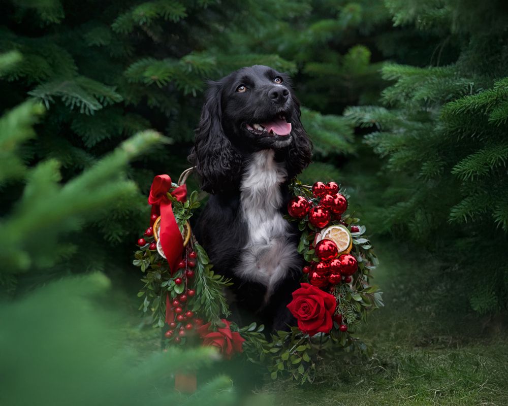 Photograph by Natalie Taylor