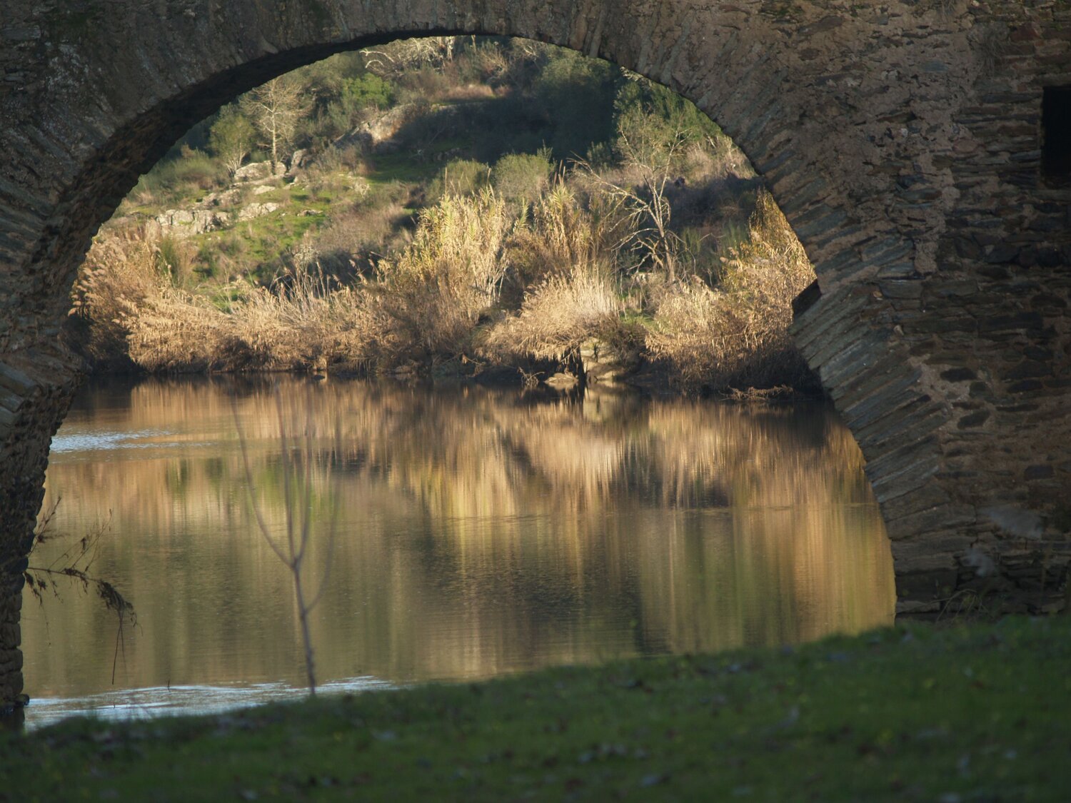 Photo #13034332
