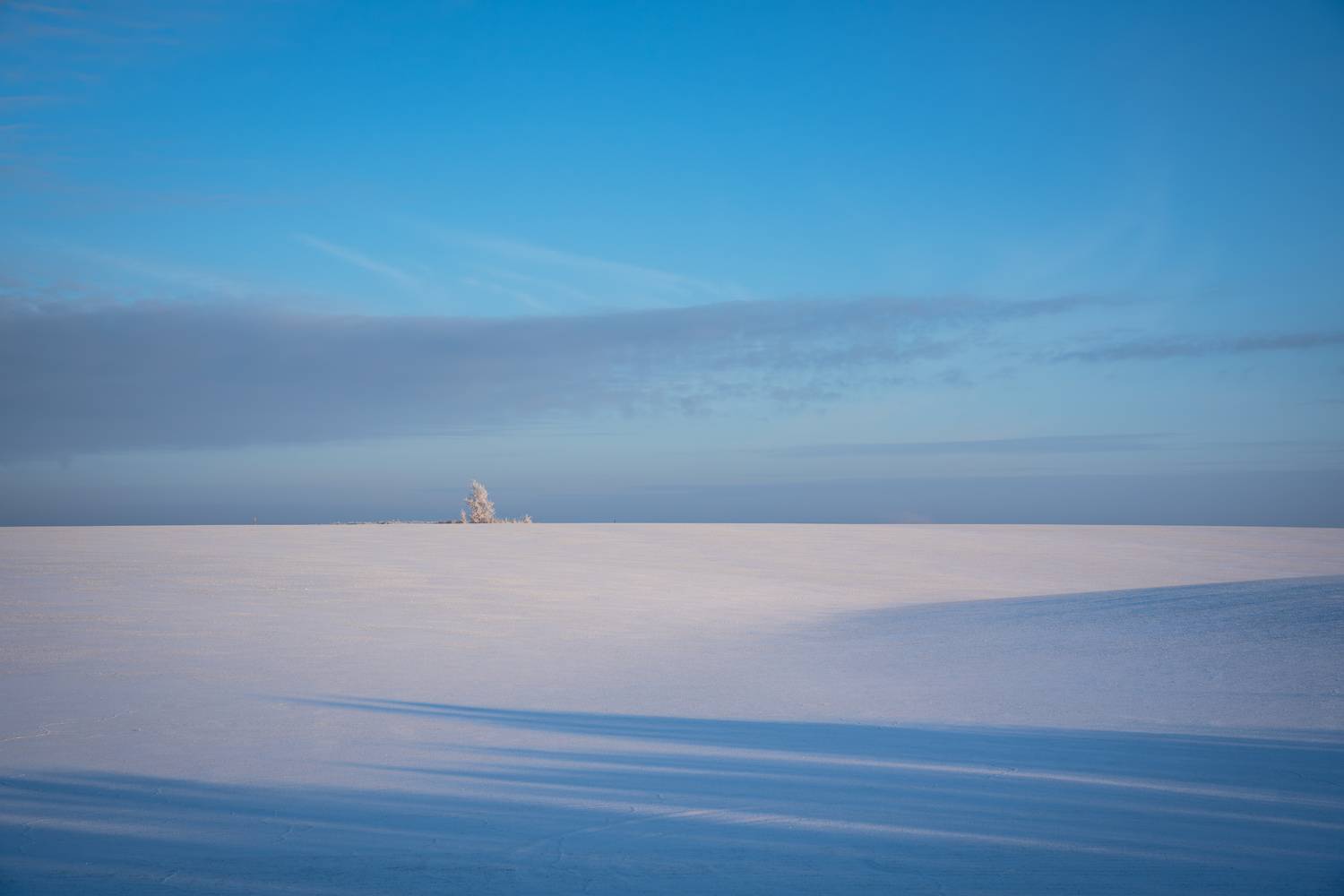 Photo #13034345