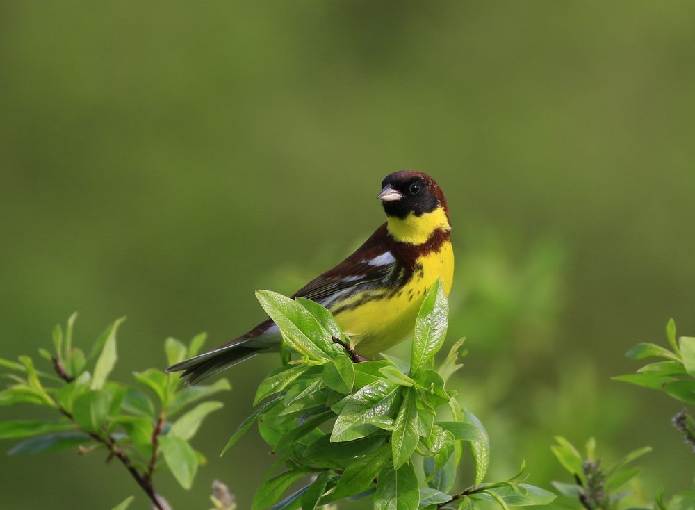 Photograph by Наталья Турчик