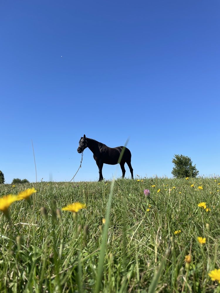 Photograph by Лия Маликова