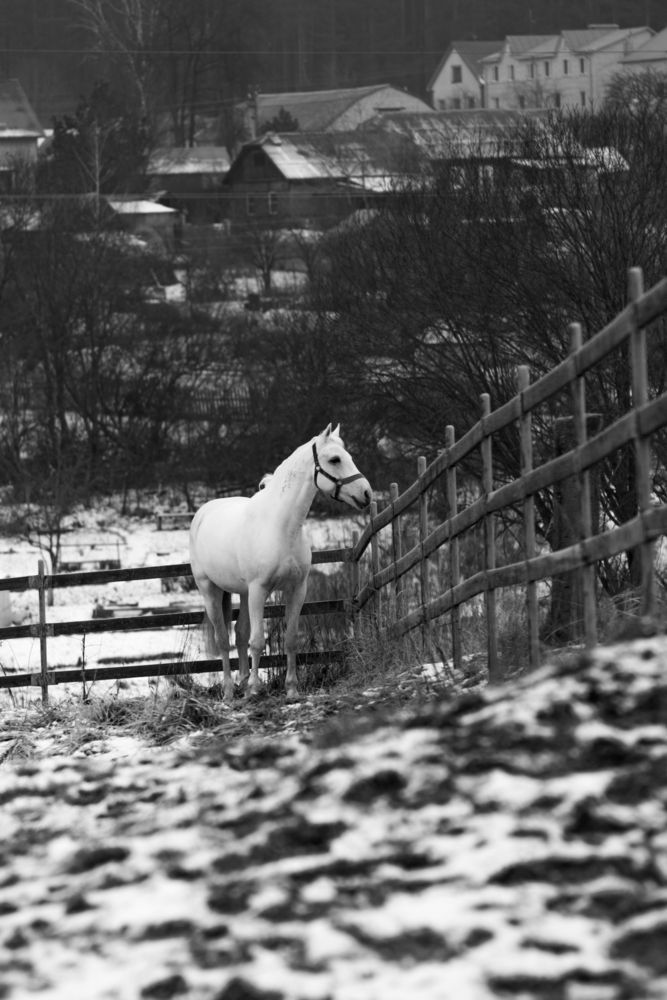 Фотография автора Aamoda Kitchen