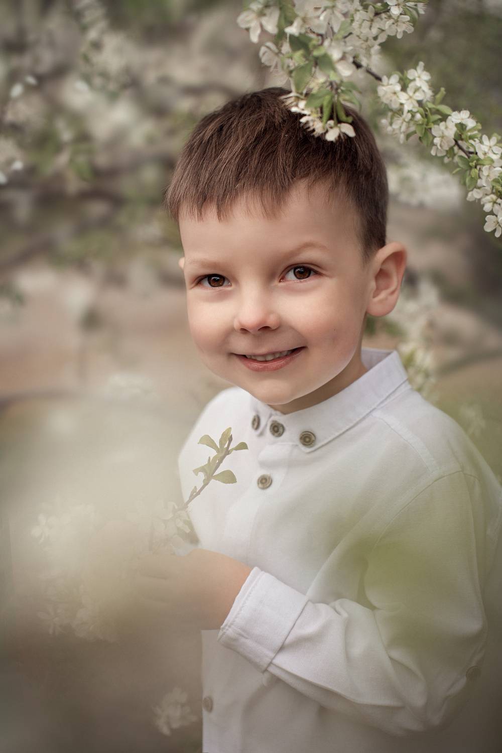 Photo #13034582
