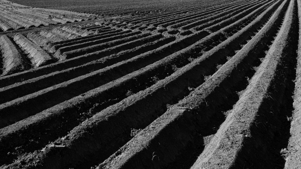earth fields