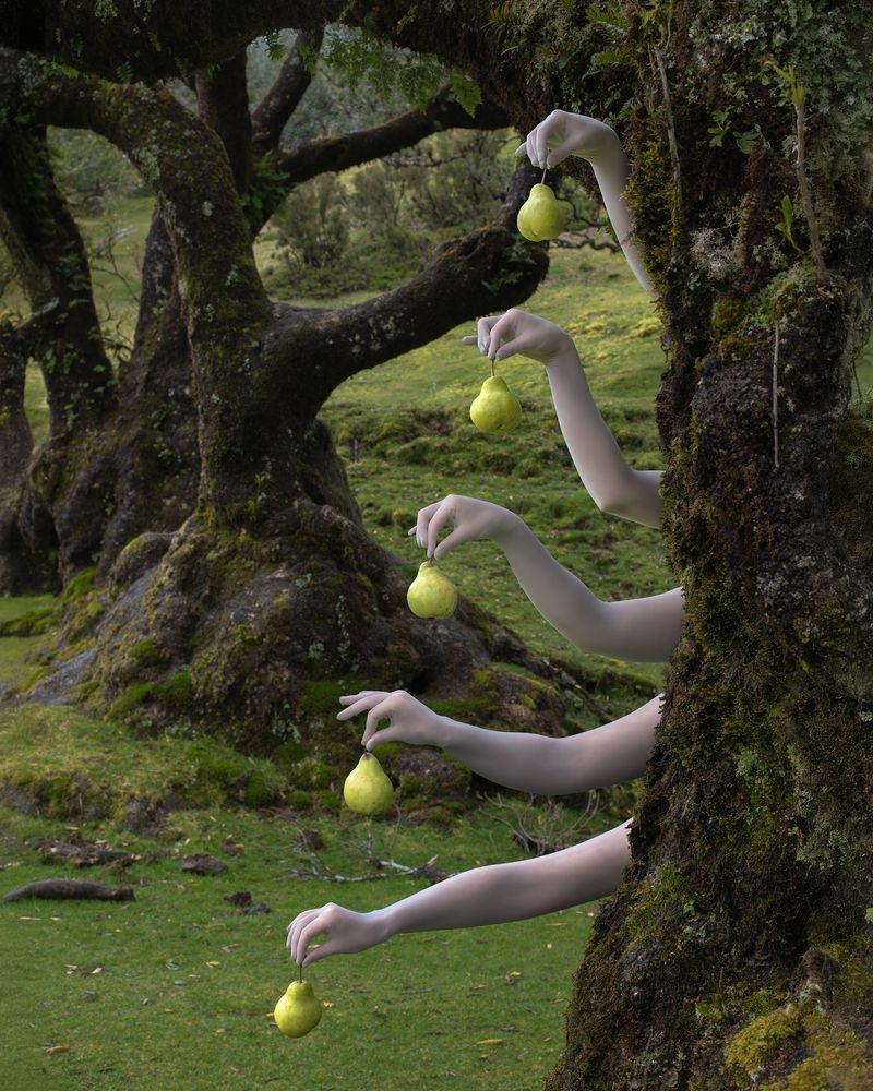 Photograph by Александра Морозова