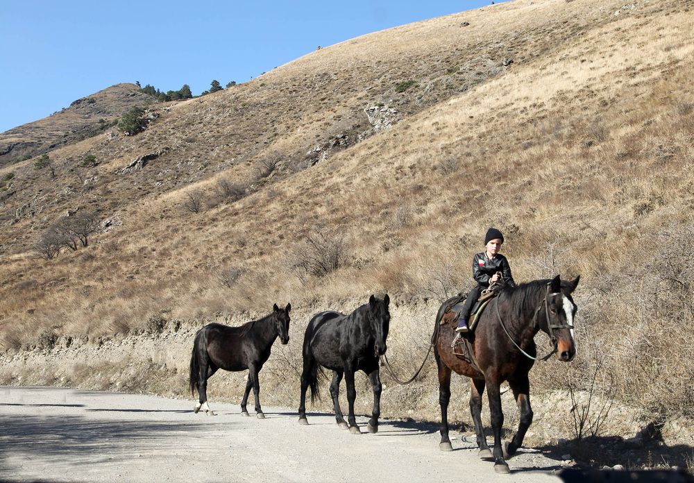 Фотография автора Ольга Виноградова