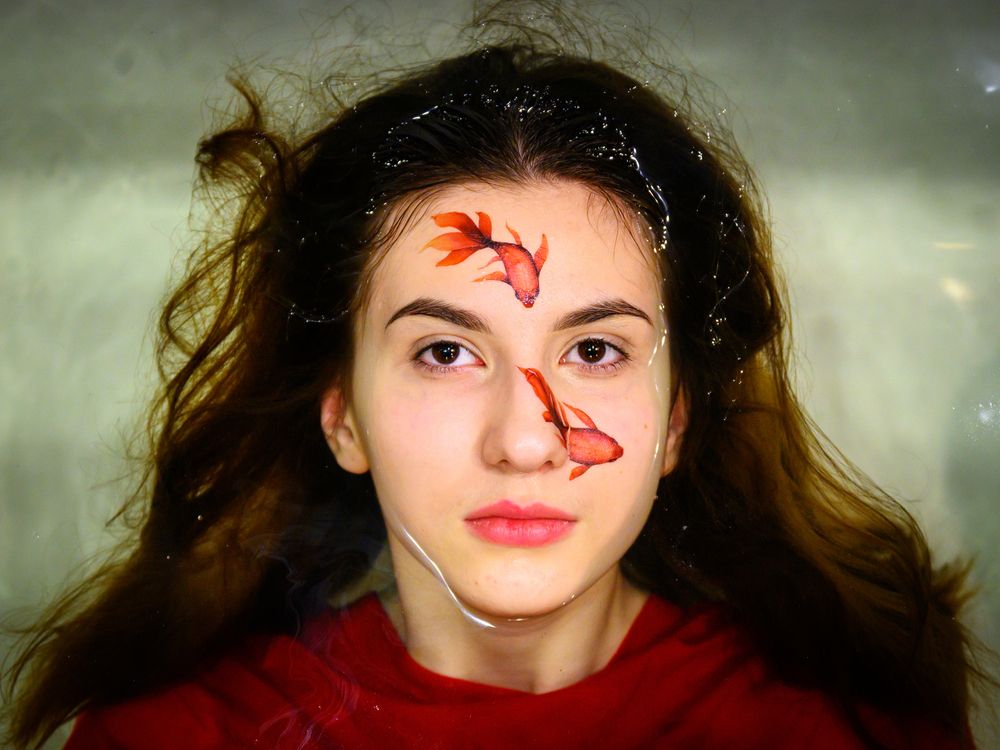 Фотография автора Dimitri Bakhtadze