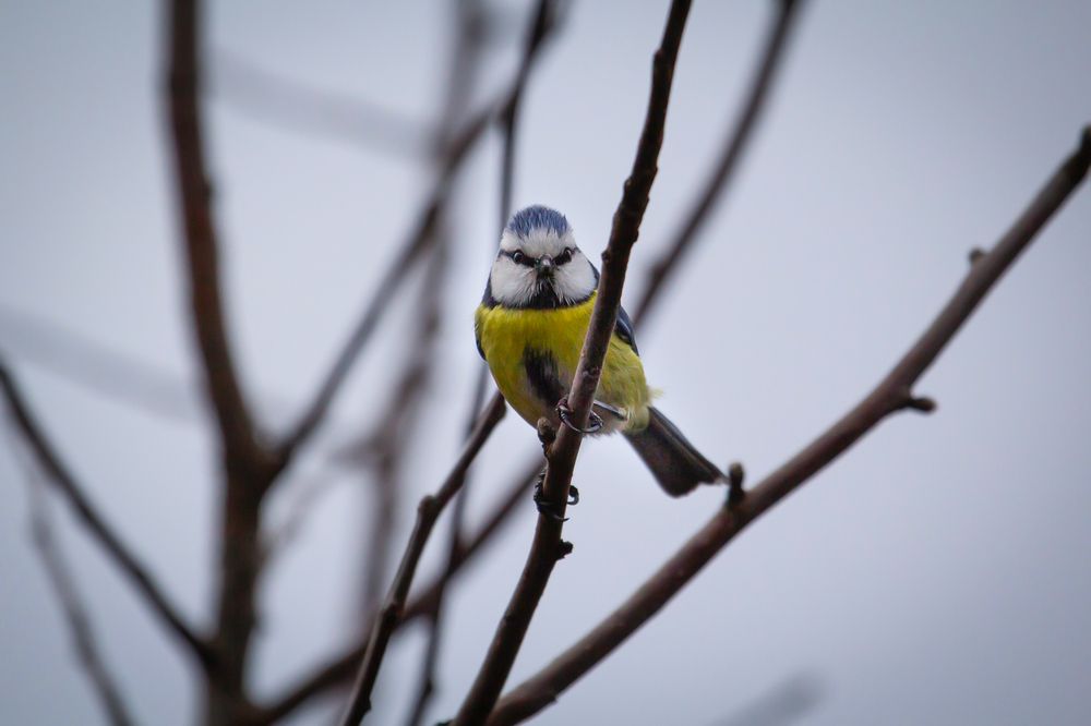 Photograph by Степан Орос