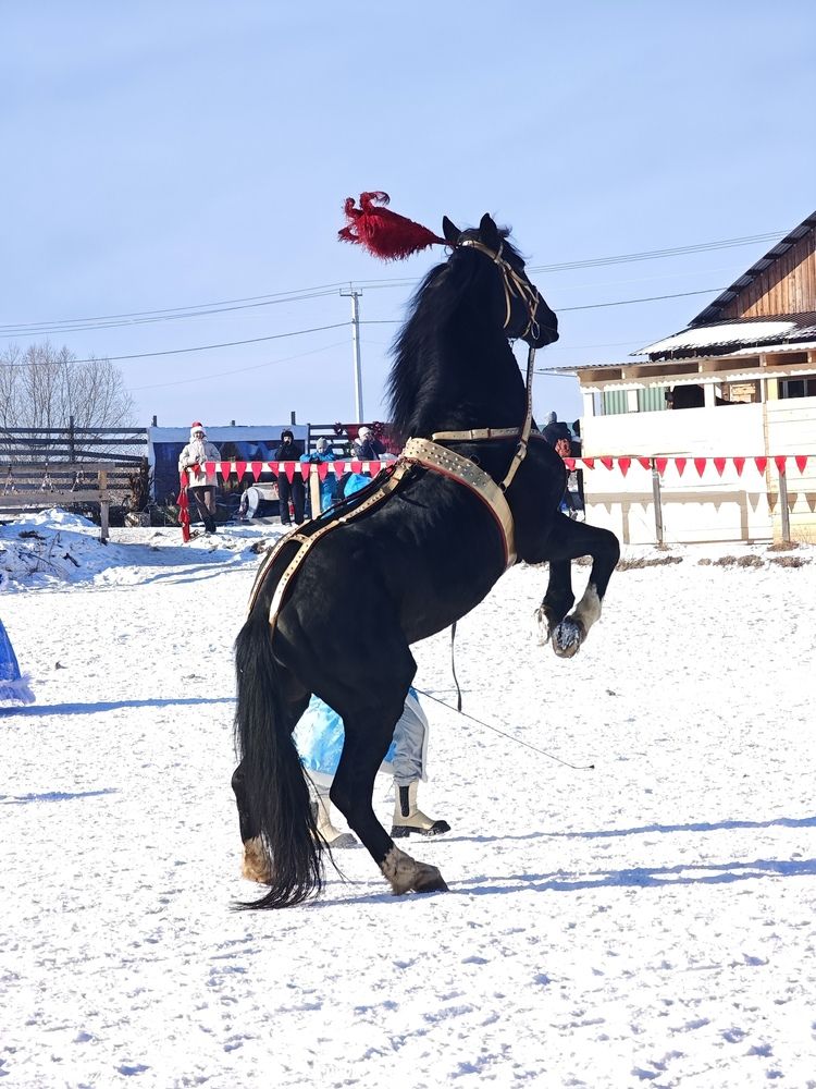 Photograph by Наталья Иванова
