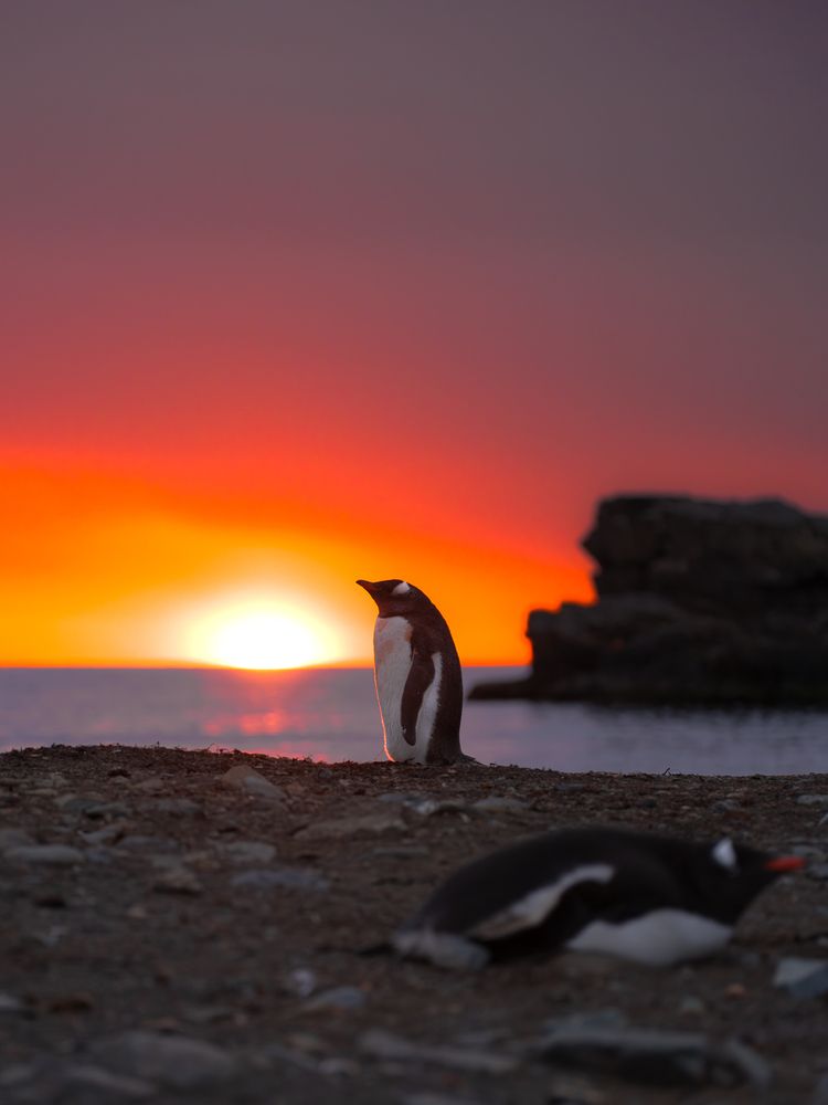 Photograph by Igor Galloway